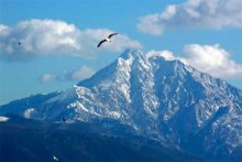 ����� � ������ ����� �����