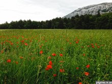 ������� � ������ � �������. ������� ���������. ����� 4. ������� � �������