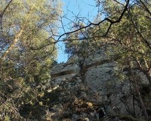 � ����� ��������� ������� �� ��������������� ������ ������� �����