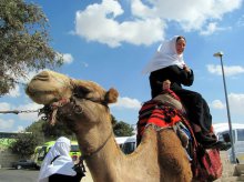 ��������� ����� ������������