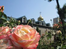 ����� ����� �����, ����������� ������������ �������� ��������