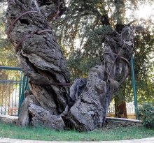 � ������� ������ ������ �� �������� ������������ ����